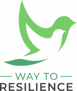 Way to Resilience